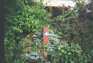 A photo of a lgiht fixture surrounded by plants