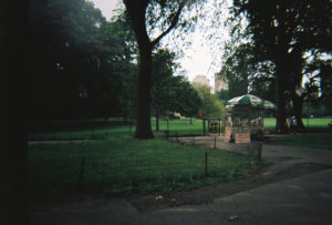 A photo of a hot dog stand in Central Park